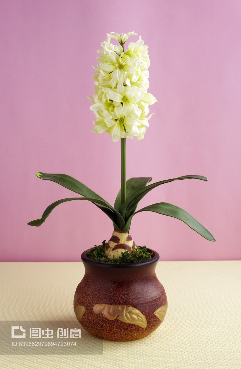 永不凋谢的雅致 探索以绣球花为主题的仿真花插花艺术与礼品美学